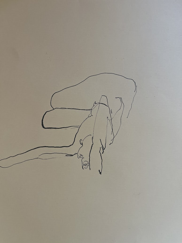 Dessin réalisé pendant la performance